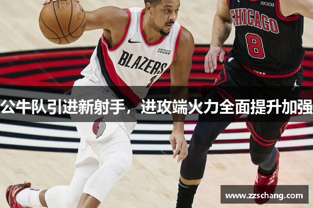 公牛队引进新射手，进攻端火力全面提升加强