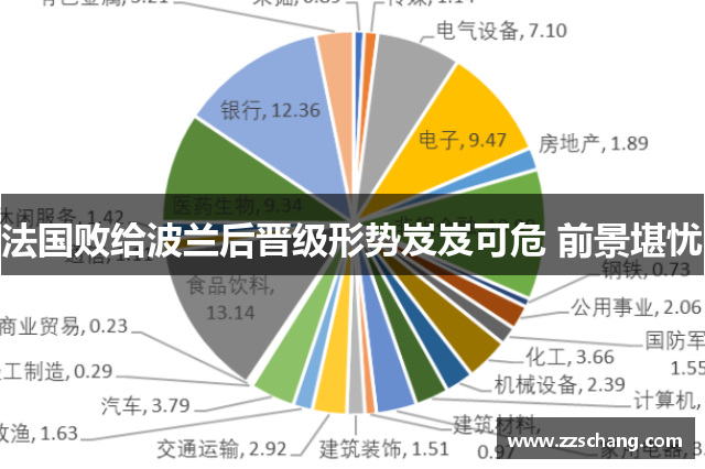 法国败给波兰后晋级形势岌岌可危 前景堪忧