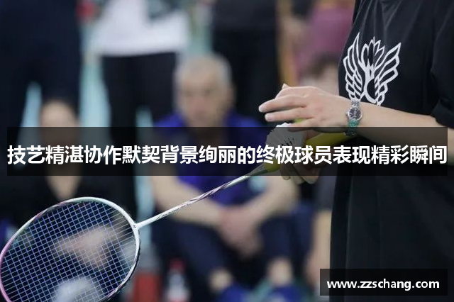 技艺精湛协作默契背景绚丽的终极球员表现精彩瞬间