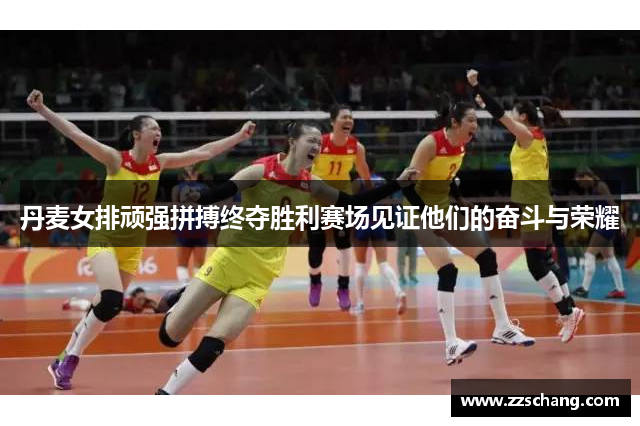 丹麦女排顽强拼搏终夺胜利赛场见证他们的奋斗与荣耀