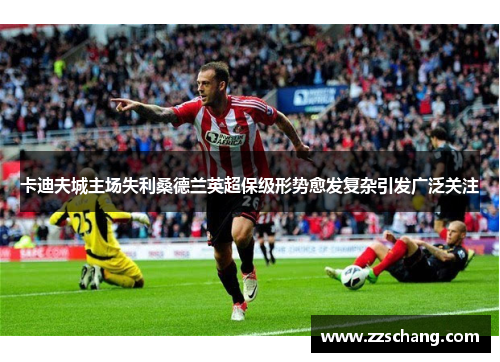 卡迪夫城主场失利桑德兰英超保级形势愈发复杂引发广泛关注