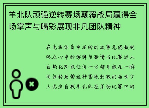 羊北队顽强逆转赛场颠覆战局赢得全场掌声与喝彩展现非凡团队精神