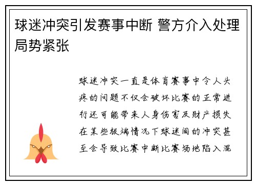 球迷冲突引发赛事中断 警方介入处理局势紧张